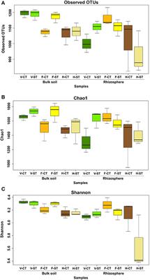 Conservation Strip Tillage Leads to Persistent Alterations in the Rhizosphere Microbiota of Brassica napus Crops